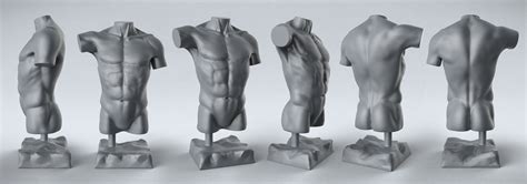 Anatomical anatomy teaching model 33.5 tall human torso organ 19 parts male. Male Torso