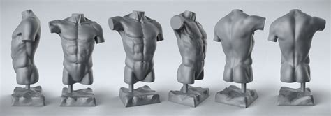 Collection by character design references. Male Torso