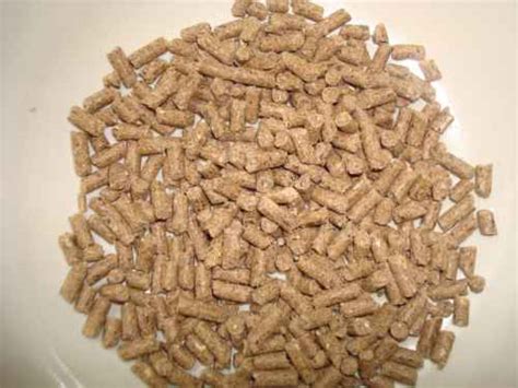 Maybe you would like to learn more about one of these? √ Makanan Merpati Agar Cepat Gemuk - Binatang Peliharaan