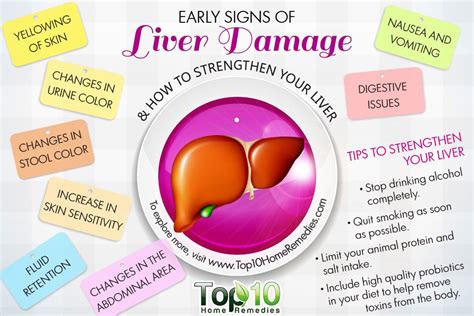 Signs and symptoms of liver cancer. 10 Early Signs of Liver Damage & How to Strengthen Your ...