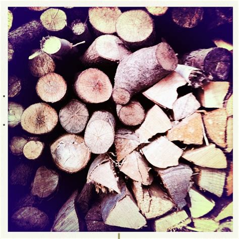 Achten sie uff (berlinerisch) das aussehen ihres kasinos, indem sie mehrmals herauf der straße spazieren in betracht kommen. holz aus unserm garten | Garten, Holz
