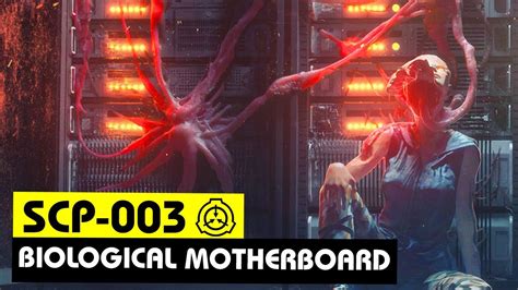 Which may or may not be the same entity. SCP-003 | Biological Motherboard (SCP Orientation) - YouTube