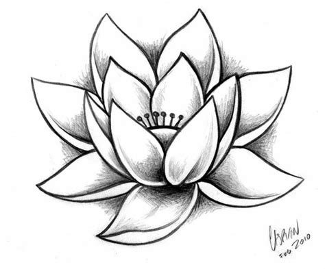 Quelle est la gamme des tableaux en noir et blanc ? Lotus-Tattoo_Web.jpg | Tattoo Ideas | Pinterest | Dessin ...
