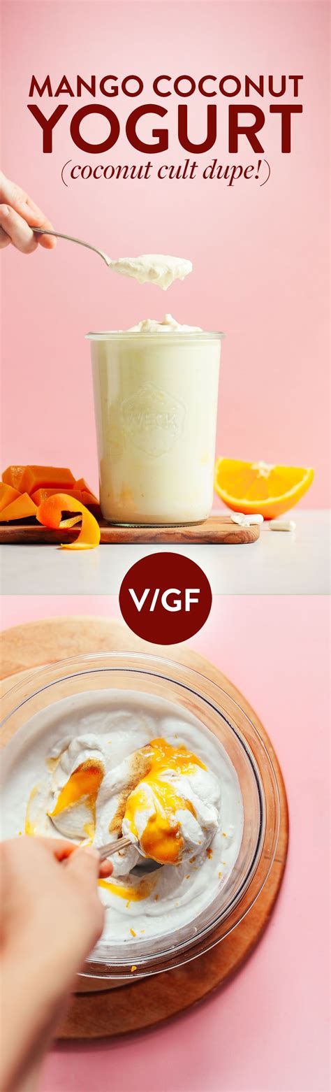 Just two simple ingredients for thick, creamy, greek style coconut yogur. Vegan Mango Coconut Yogurt | Minimalist Baker Recipes ...