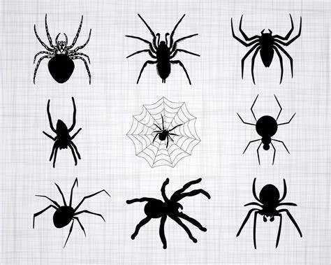 Spider SVG Bundle Spider SVG Spider Clipart Spider Cut | Etsy