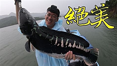 The site owner hides the web page description. 兇猛大物水花狂炸!外來種肆虐全台!【台灣大釣哥 EP9】魚虎 ft.謝洸俠 #釣魚 - YouTube