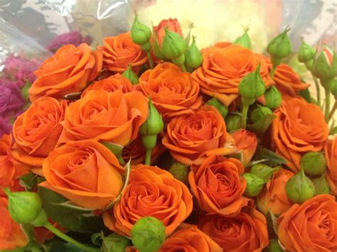 *=multiple images on detail page orange roses | Orange roses, Flowers online, Beautiful flowers