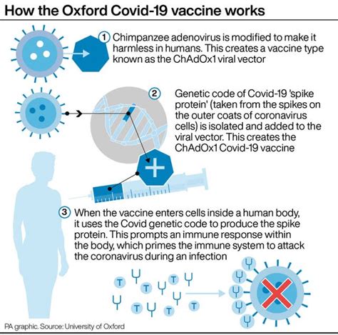 Even if you take the lowest figure of effectiveness for the astrazeneca jab, it still passes that. Oxford/AstraZeneca Covid-19 vaccine approved in UK for ...
