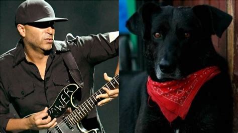 Get all the details on tom morello, watch interviews and videos, and see what else bing knows. Tom Morello le dedicó un posteo al Negro Matapacos