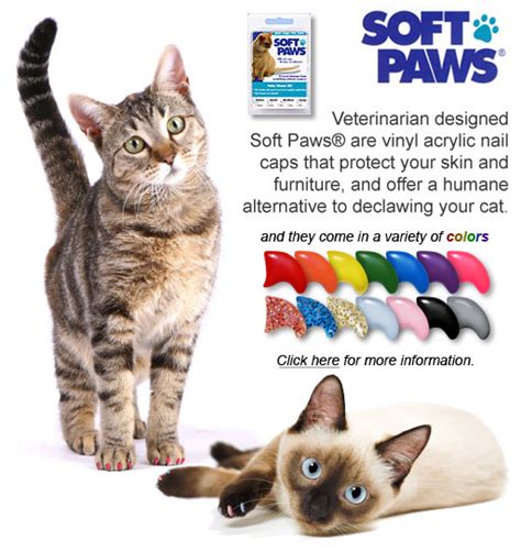 It stretches their muscles, keeps their claws alternatives to declawing 2: Home www.cathealth.com
