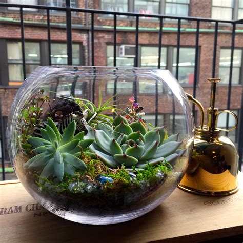 For those who like a taller variety of their cactus displays, this is the perfect choice. Send Succulent Terrarium in New York, NY from Gotham ...