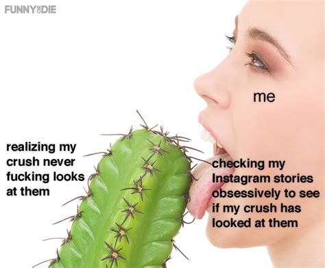 I've been sent the same juan meme like a hundred times. Funny Or Die — Someone put me out of my misery