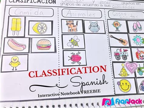 Classification SPANISH Interactive Notebook FREEBIE | Spanish interactive notebook, Interactive 