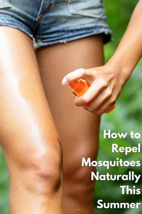 Take care before using essential oils. How to Repel Mosquitoes Naturally This Summer | Natural mosquito repellant, Natural bug spray ...