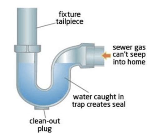 Sewer gas if your basement smells like poop, rotten eggs, garbage, or any combination that produces a very foul odor, you have a big problem. Why Does My Shower Drain Smell Bad?