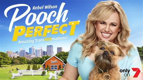 Pooch perfect is an australian dog grooming reality competition television program on the seven network. Seven Unveils Pooch Perfect Sponsors - B&T