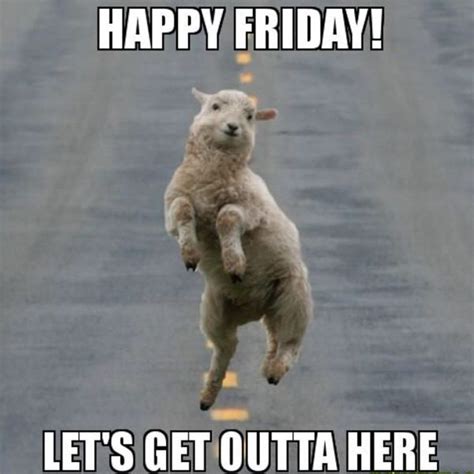 I saw a super cute happy friday image … 75 Happy Friday Memes That'll Make Your Weekend A Lot ...