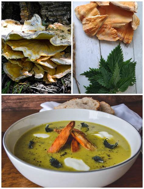 It has a meaty but delicate flavor. Broccoli & Nettle Soup with Fried Chicken Of The Woods ...