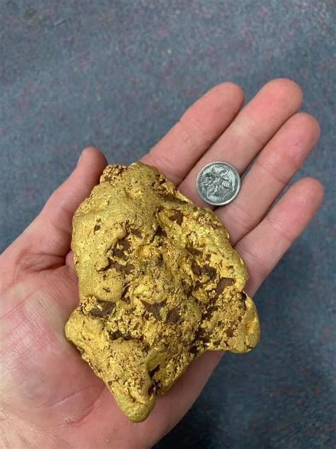 Search, discover and share your favorite pepita gifs. Australia, un fortunato cercatore d'oro ha scoperto una pepita da 1,4kg per un valore di 100.000 ...