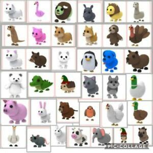 You can get these pets by hatching eggs or during some events. Roblox - Adopt Me - Neon Pets/Rare Items. Prices are all ...