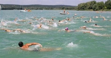 Nem a járvány, hanem az időjárás tehet a módosításról. vehir.hu - Balaton-átúszás: idén a táv felét is lehet ...