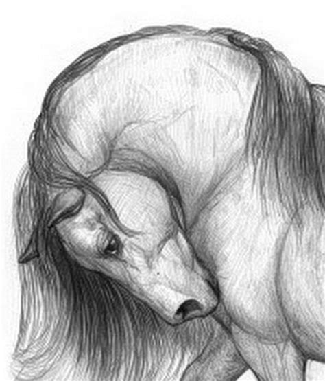 Next may be the image about lapiz dibujos bonitos y fáciles para hacer you could help to make an insight. dibujos a lapiz bonitos y faciles - Buscar con Google | Dibujo caballo lapiz, Dibujos, Dibujos ...