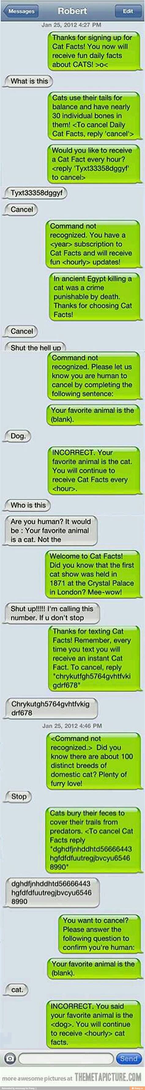 Good april fools pranks over text. Great way to mess with someone | funny things ...