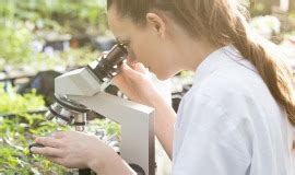 Out now — qs usa university rankings 2021. Mikrobiologie und Biochemie - Uni Rostock - Master of ...