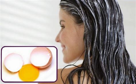 Below are two possible benefits that egg yolks could offer the hair. Egg Yolk Hair Treatment ~ Fashions Updates