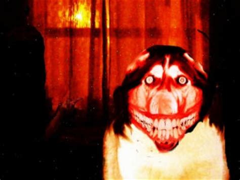 This is smiley dog product testimonial by digital catch media on vimeo, the home for high quality videos and the people who love them. Smile Dog | Creepypasta | Scary Website