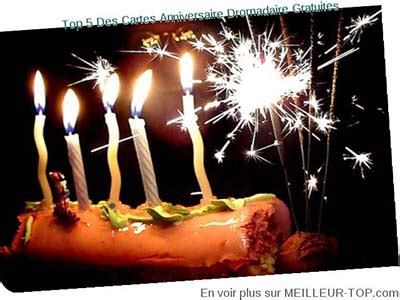 Anniversaire, fête, noël, voeux, st valentin, amour, amitié. dromadaire carte d anniversaire adulte
