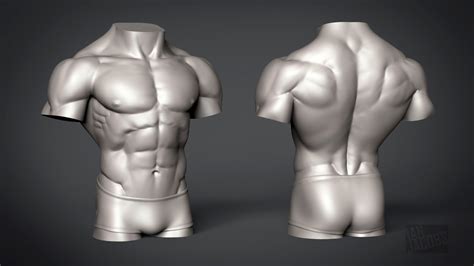 Maybe you would like to learn more about one of these? ArtStation - Male Torso - Anatomy Study, Ian Jacobs