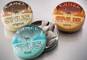 If you can get over the whole spitting thing, camels are pretty cute—at least until they open up their mouths. Up in Smoke: SNUS this?