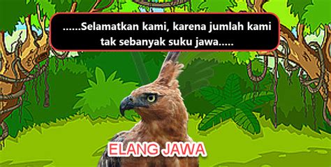 Mari hemat energi dengan mematikan lampu serta peralatan elektronik rumah dengan mematikan satu jam saja itu sama halnya membagi akses listrik pada satu rumah di daerah terpencil. Pembelajaran 3 Tema 1 Subtema 3 Ayo Selamatkan Hewan dan ...