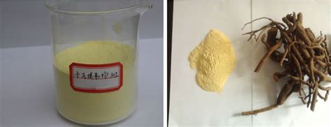 Kava kava root's latin name is piper methysticum, which means 'intoxicating pepper'. Customized Kava Kava Root Extract Powder 30% 70% ...