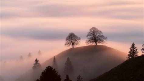 Vergleichen sie die preise und lesen sie echte gästebewertungen, um das richtige zimmer zu buchen. Emmental