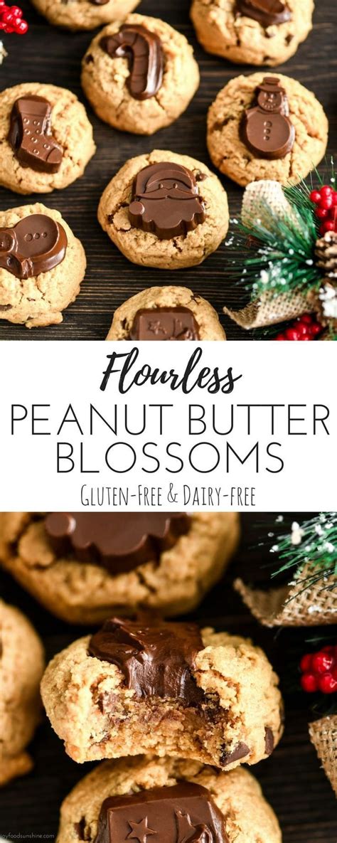 Mini christmas cakes that are gluten free, dairy free, vegan with a nut free marzipan i'll teach you to make! Flourless Peanut Butter Blossom Cookies are the ultimate ...