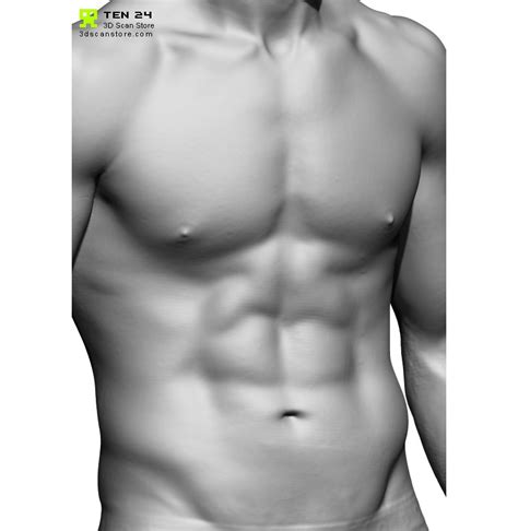 Male and female anatomy complete pack (textured). Male Anatomy Bundle 01