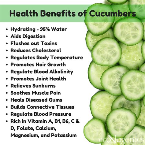 Keep reading to find out how to substitute zucchini in the most popular. Infographic: Health Benefits of Cucumbers | ecoNugenics Blog