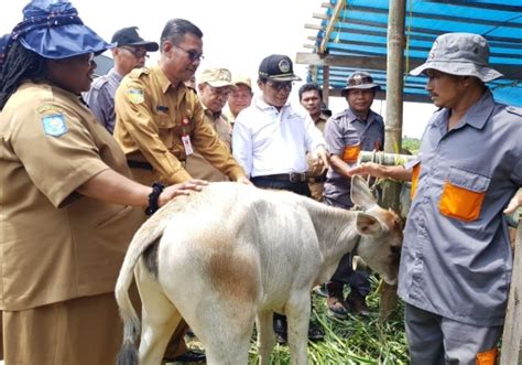 Mengidentifikasi sumber daya alam hasil pertanian, perkebunan, peternakan, perikanan dan hasil hutan kls 4 tema 9 subtema 2 pb 1 kurikulum 2013 sekolah dasar. Ditjen PKH - Kementerian Pertanian - Kementan dan Pemda ...