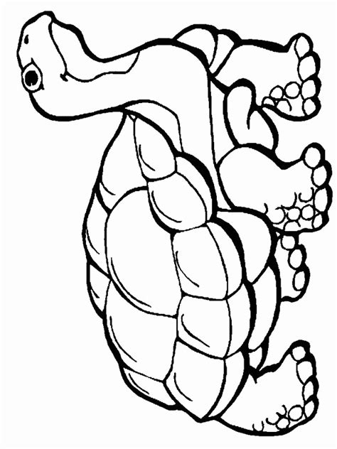 The badgers coloring pages also available in pdf file that you can download for free. Bucky Badger Coloring Page at GetDrawings | Free download