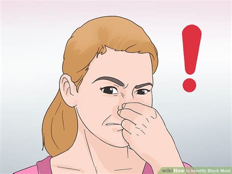 This is because mold and mildew are both fungi. 3 Ways to Identify Black Mold - wikiHow