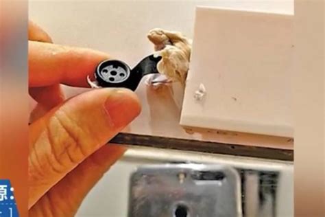 Voyeur hidden camera in dressing room. Woman in China finds spy cam hidden in Uniqlo dressing ...