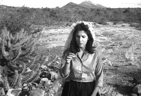 He began his career as a journalist and film critic. Glauber Rocha