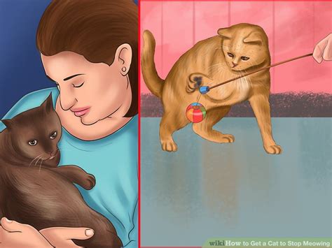 If your cat is meowing all of the time and just won't stop, there are a few things you can do to try to get them to quiet down a bit 4 Ways to Get a Cat to Stop Meowing - wikiHow