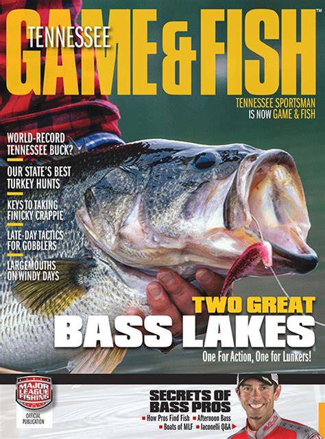 Tennessee is a fishing state, where the people love to fish and spend times outdoors, and the opportunities are abundant with over 9,850 rivers and streams.that's not a misprint, tennessee is home join us as we discuss the tennessee fishing regulations and fishing license requirements. Tennessee Game & Fish - Subscription Discounts & Deals