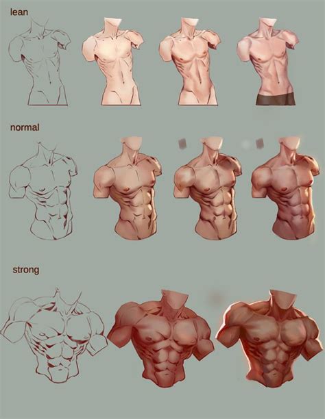 Used various anatomy books and handouts from class to draw. Tutorial male turso by jiuge.deviantart.com on @DeviantArt ...