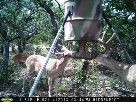 Trigger clips on front panel allow it to drop down, allowing easy access to your feeder's timer and battery. TexasNative00 Hunting and Product Reviews: Trail Camera ...