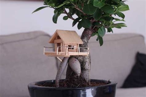 Howdy players this is a map called the bonsai treehouse this is a really cool map!!and this is really hard to build so be sure to leave a likeand follow me for more. Bonsai Treehouse in 2020 | Tree house, Miniature trees, Bonsai