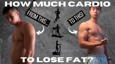 Use cardio to complement your strength training, not as a standalone. How Much Cardio You Should Do to Lose Fat - YouTube